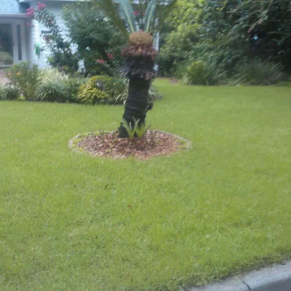 Trusted yard maintenance for outdoor upgrades in Lake Butler, FL by Premierscape