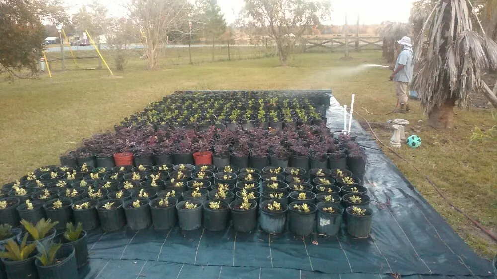 Custom lawn care service experts serving Lake Butler, FL - Premierscape