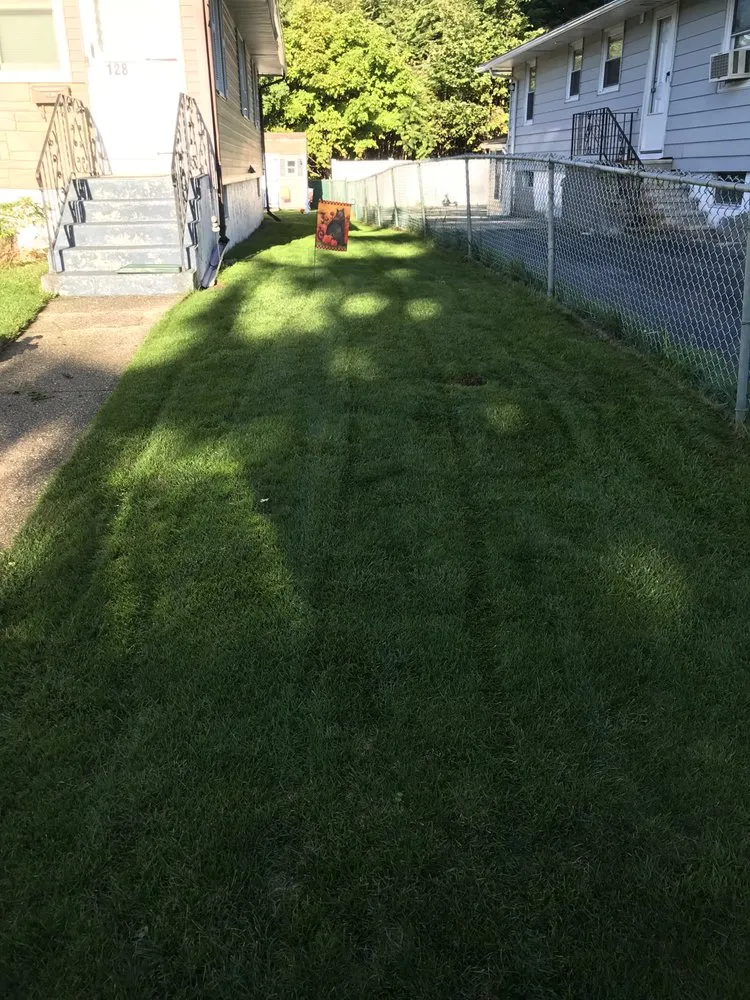 Trusted lawn care service in Worcester, MA - Premium Cut Landscaping