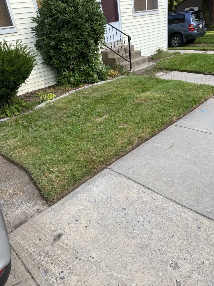 Reliable yard cleanup service experts serving Worcester, MA - Premium Cut Landscaping