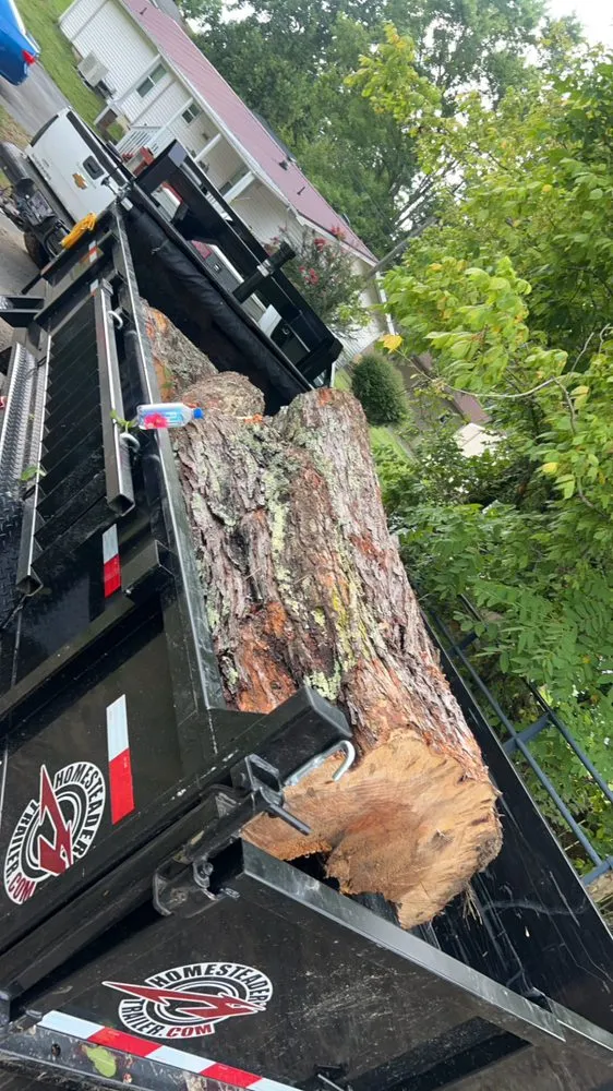 Professional residential landscaping near you in Bristol, TN by Premium Cut Lawn Care and Landscaping