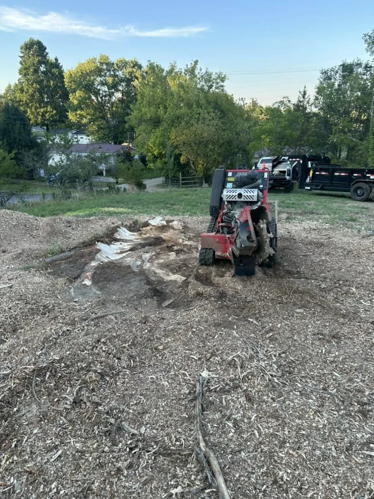 Affordable landscape design in Bristol, TN by Premium Cut Lawn Care and Landscaping