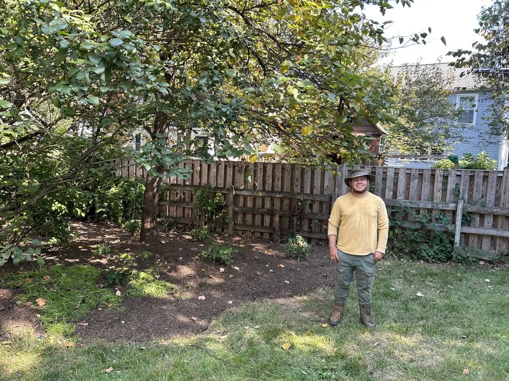 Expert landscape design in Ashburn, VA - Premium Cut Lawn Service