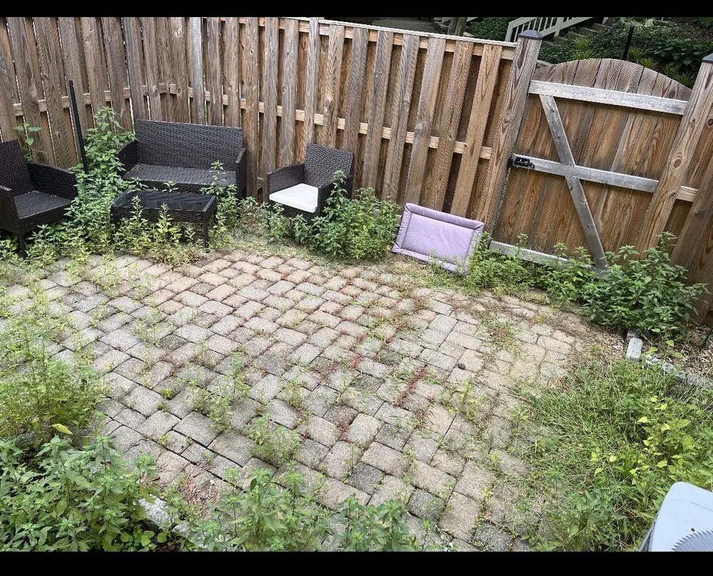 Local lawn care service in Ashburn, VA - Premium Cut Lawn Service