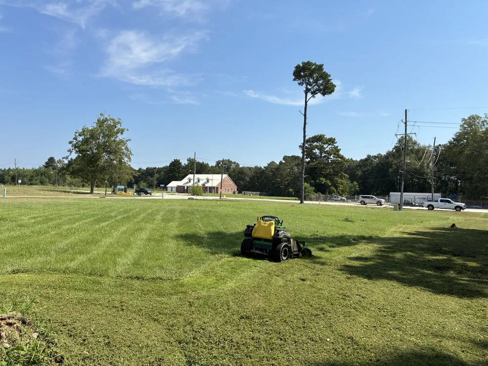 Top-rated yard cleanup service in Baton Rouge, LA - Premium Cuts