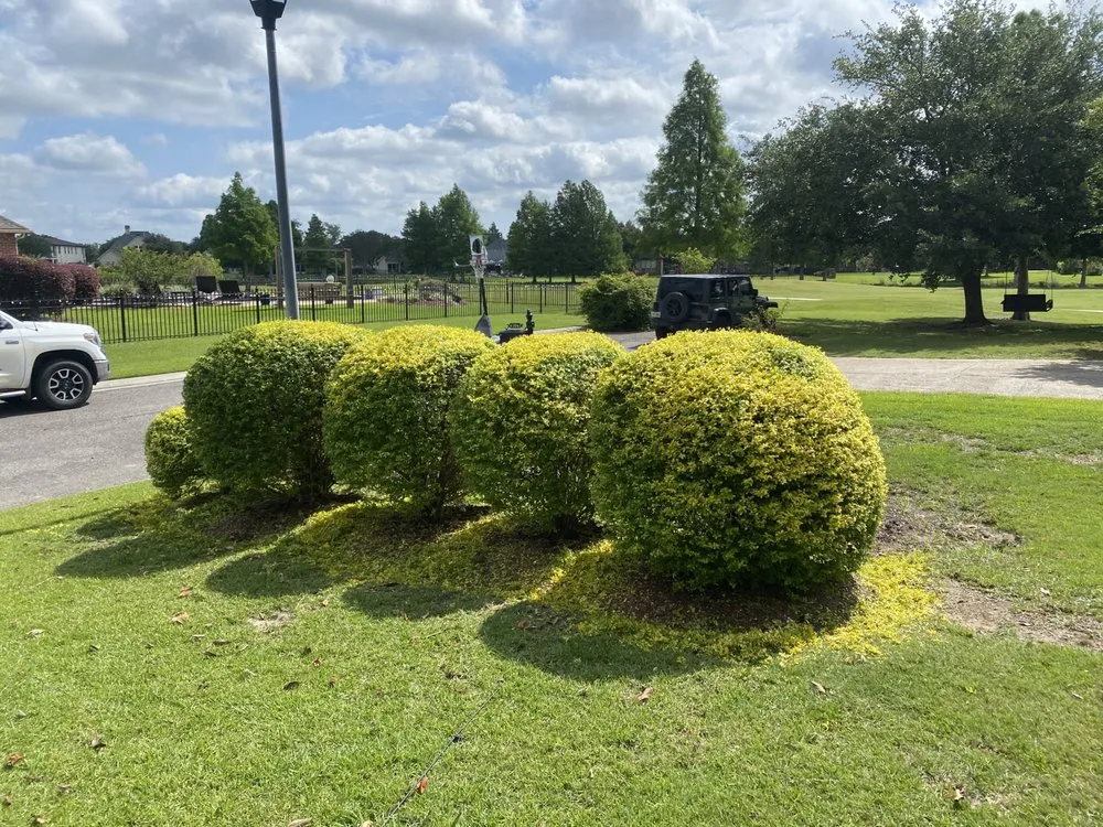 Reliable outdoor landscaping for outdoor upgrades across Baton Rouge, LA - Premium Cuts