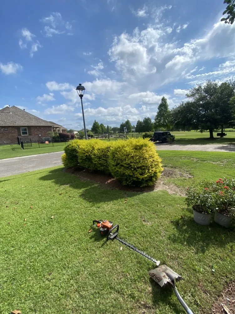 Expert landscaping services in Baton Rouge, LA - Premium Cuts