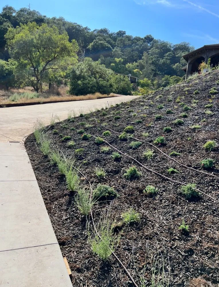 Top-rated residential landscaping experts serving San Martin, CA - Premium Design & Build