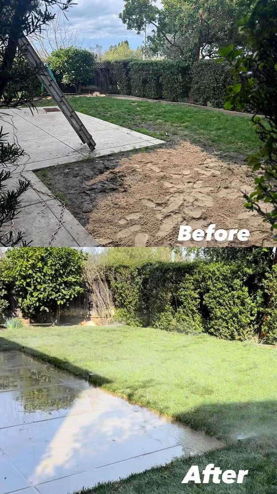 Reliable lawn care service experts serving San Martin, CA - Premium Design & Build