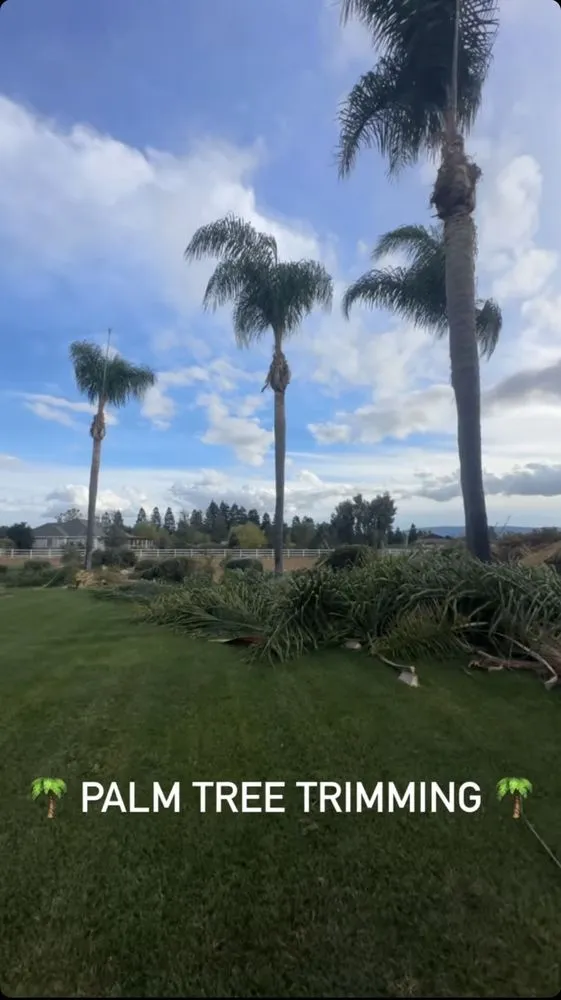 Expert landscaping services in San Martin, CA - Premium Design & Build