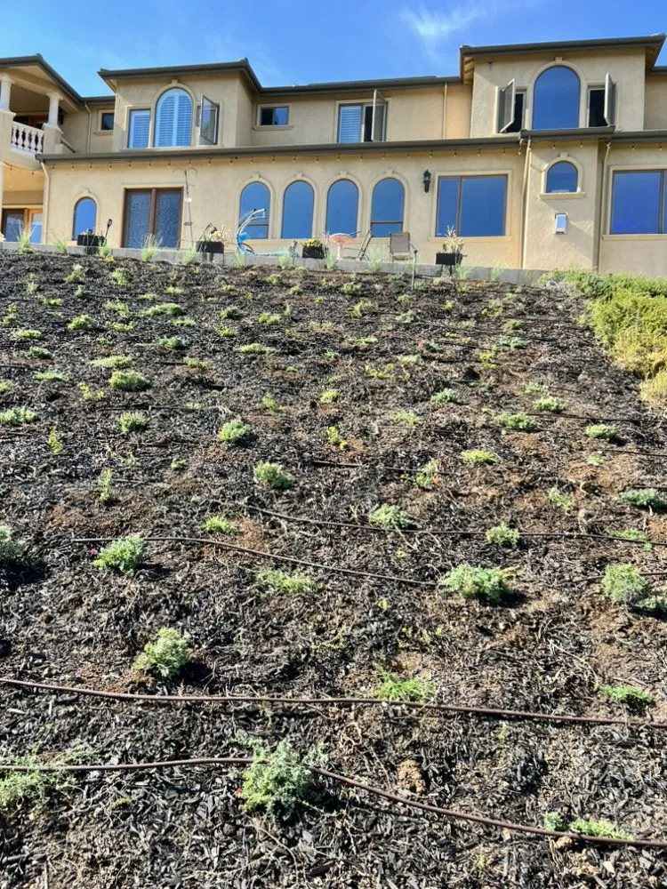 Local residential landscaping with custom design across San Martin, CA - Premium Design & Build