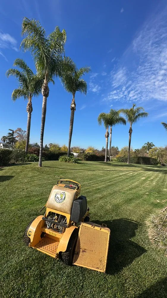 Local lawn care service with custom design in San Martin, CA by Premium Design & Build