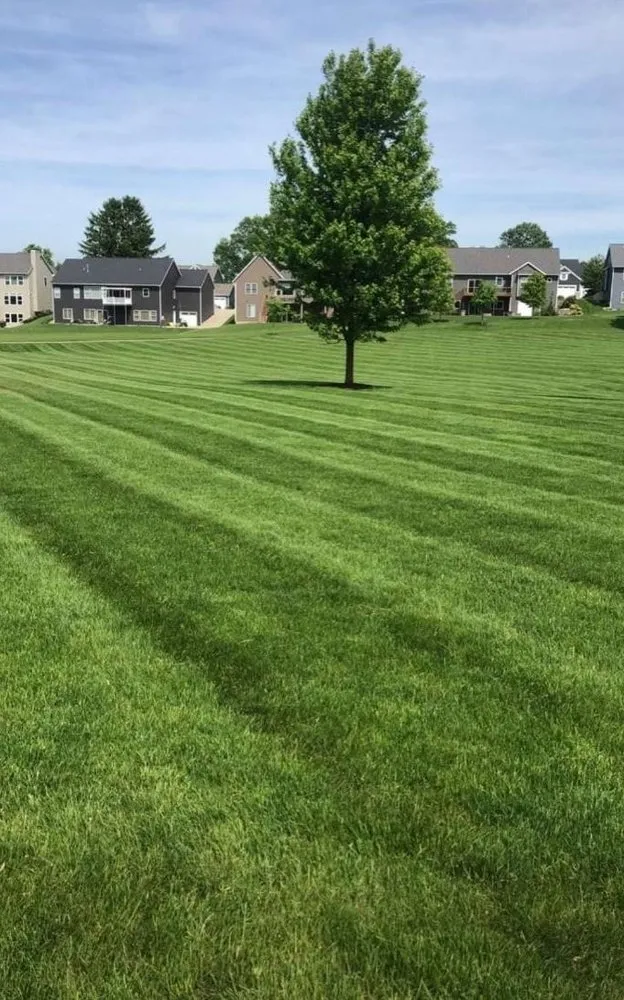 Reliable outdoor landscaping for beautiful yards across Grandville, MI - Premium Design