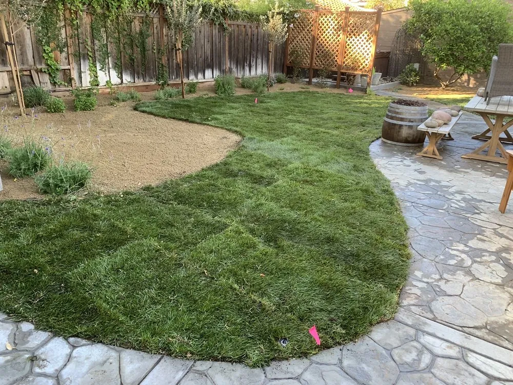 Reliable residential landscaping for outdoor upgrades in Santa Clara, CA by Premium Developers Landscape