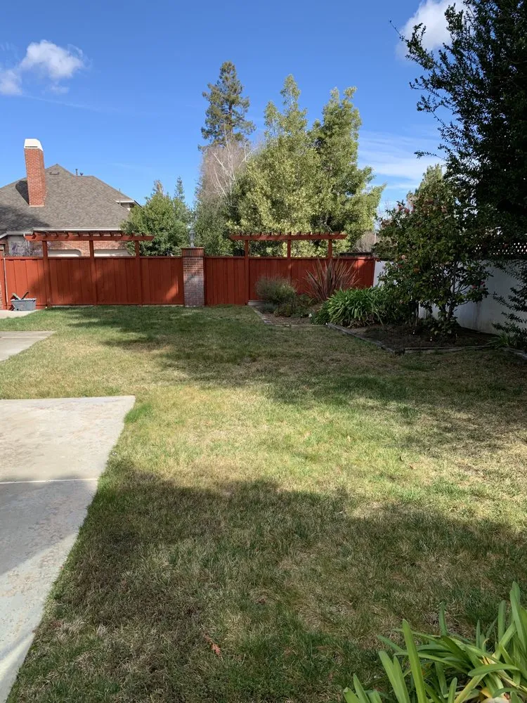 Affordable lawn care service in Santa Clara, CA - Premium Developers Landscape