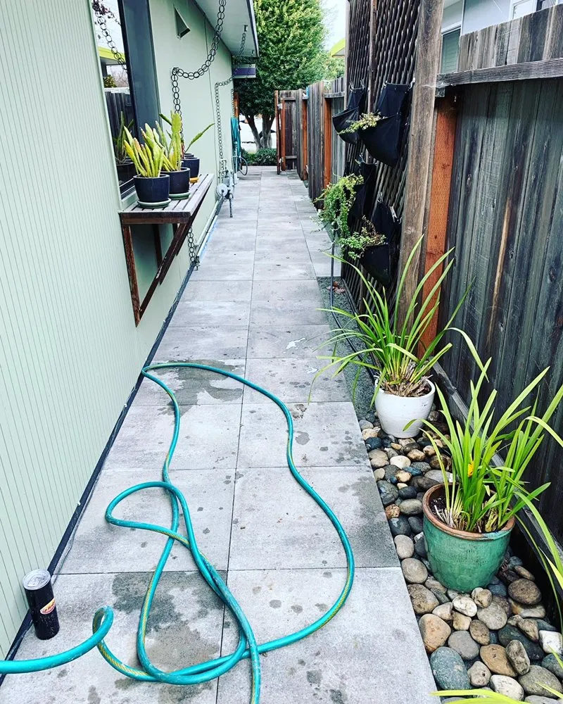 Reliable yard cleanup service experts serving Santa Clara, CA - Premium Developers Landscape