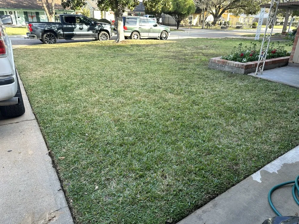 Affordable yard maintenance with custom design across Bellaire, TX - Premium Evergreen Landscaping