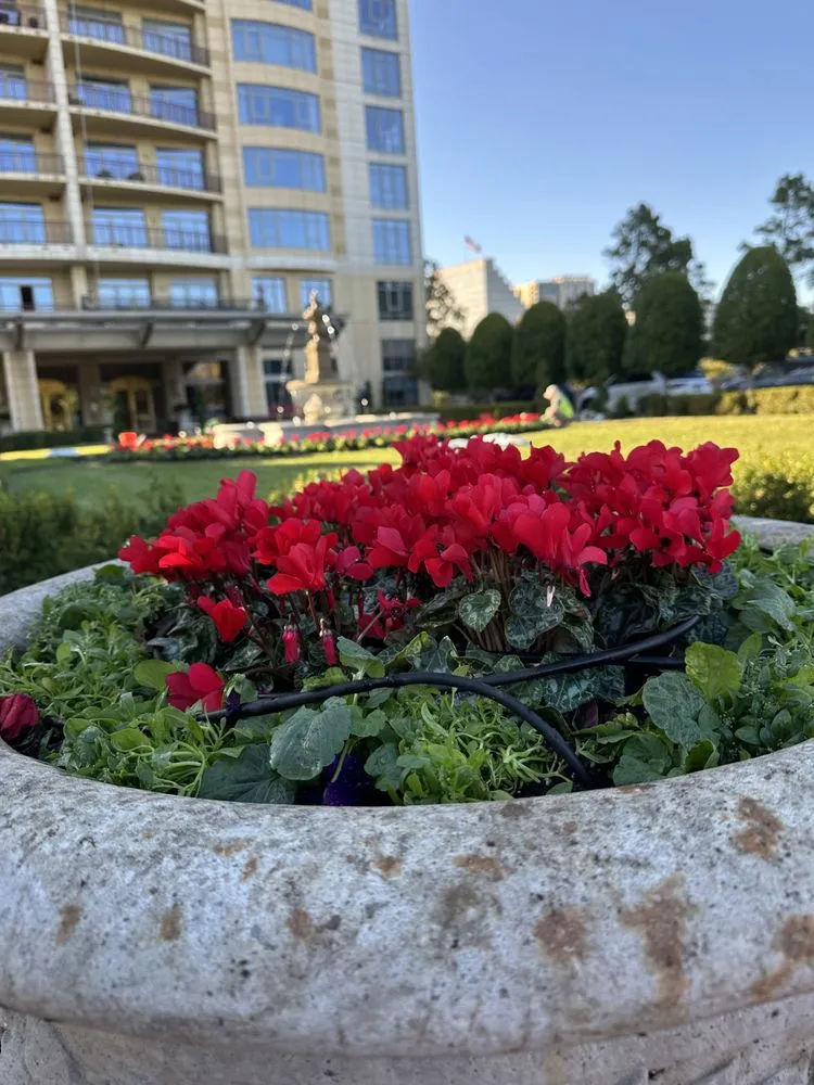 Local yard maintenance in Bellaire, TX - Premium Evergreen Landscaping