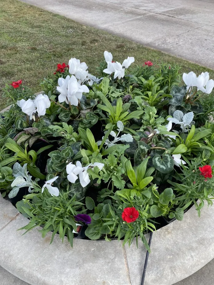 Custom lawn care service in Bellaire, TX by Premium Evergreen Landscaping