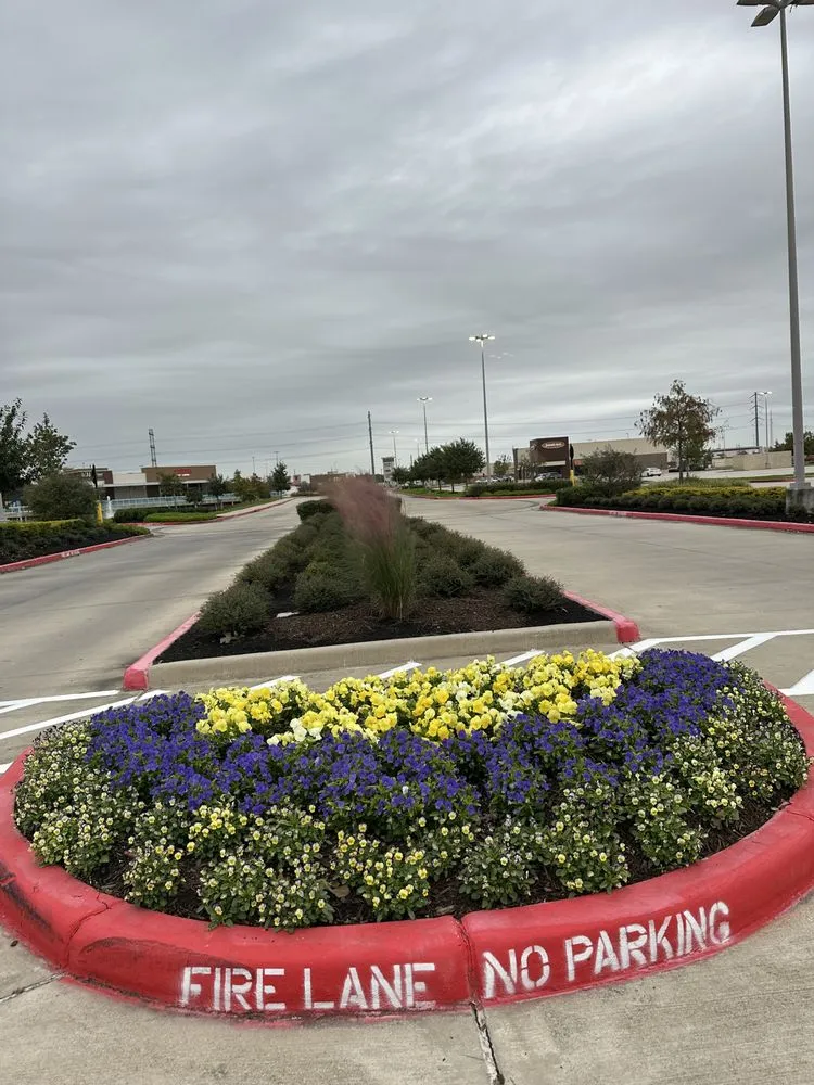 Expert outdoor landscaping experts serving Bellaire, TX - Premium Evergreen Landscaping