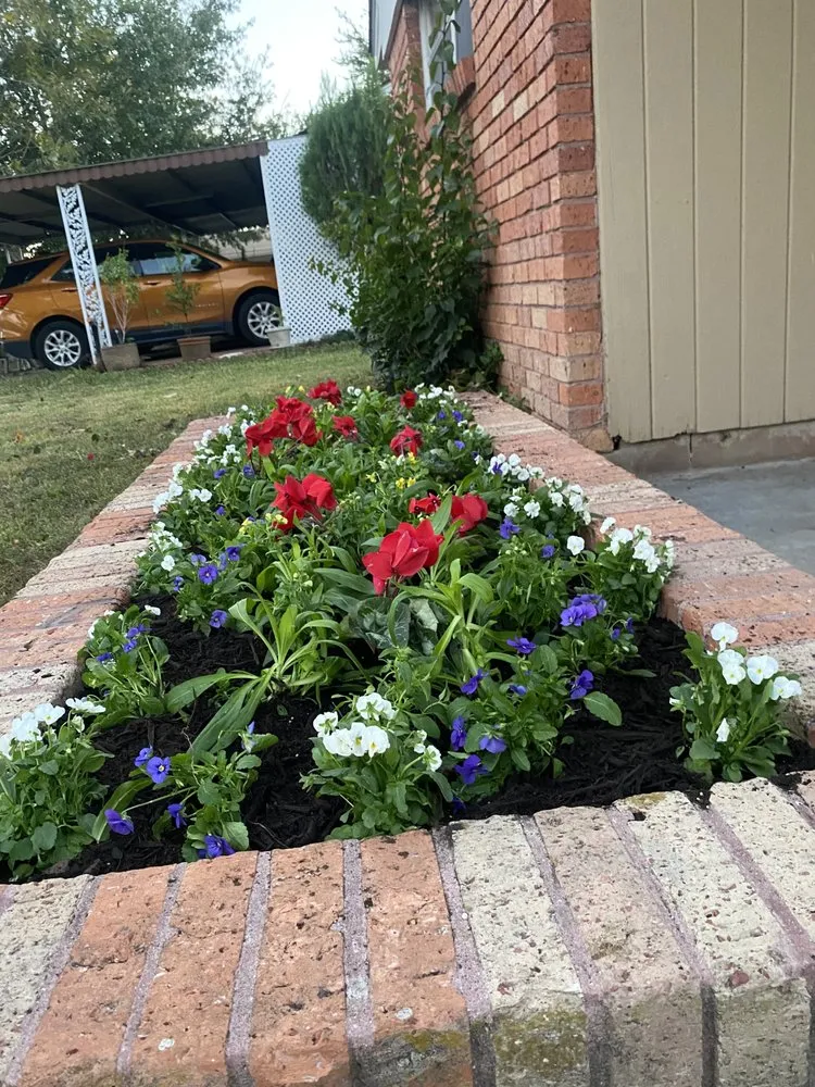 Reliable landscape design for beautiful yards across Bellaire, TX - Premium Evergreen Landscaping