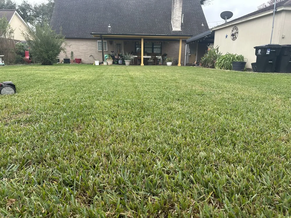 Top-rated landscape design in Bellaire, TX by Premium Evergreen Landscaping