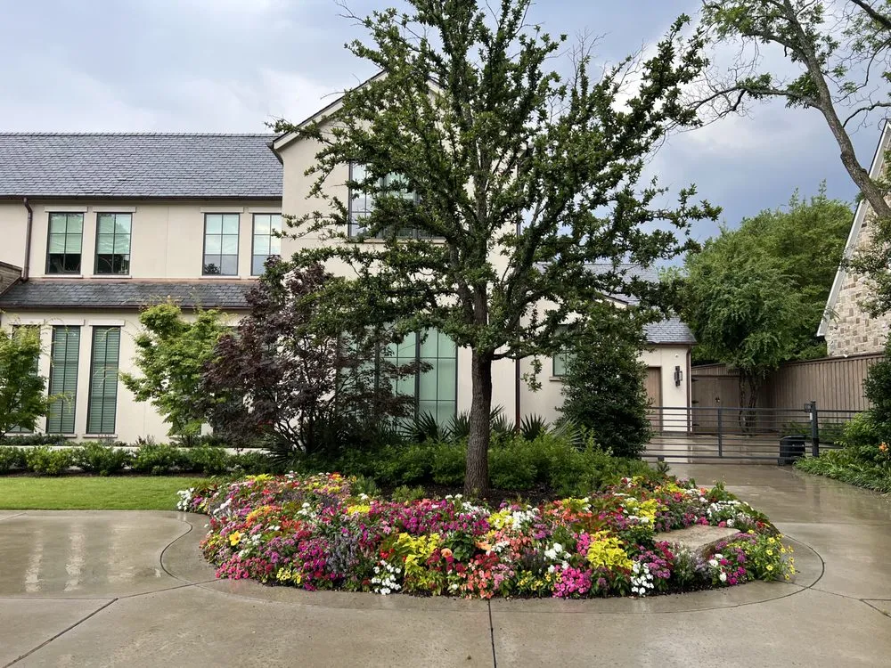 Reliable yard cleanup service in Dallas, TX by Premium Gardens Of Texas