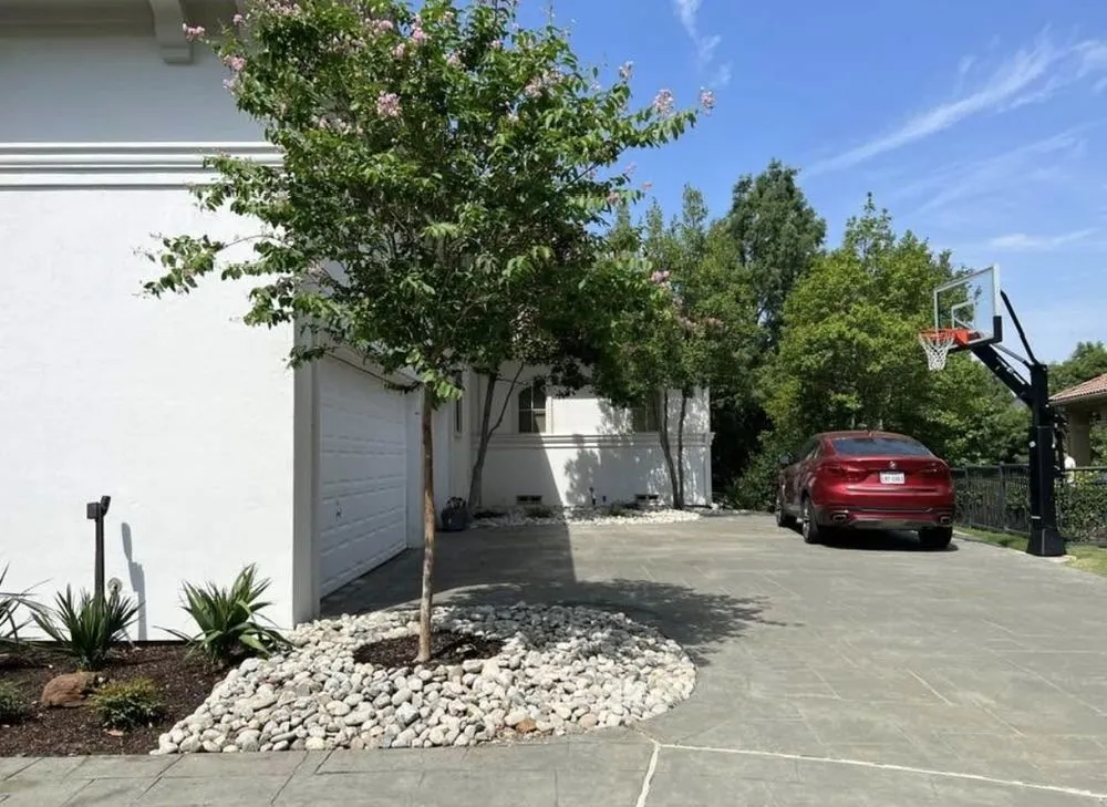 Professional garden landscaping for year-round maintenance in Dallas, TX by Premium Gardens Of Texas