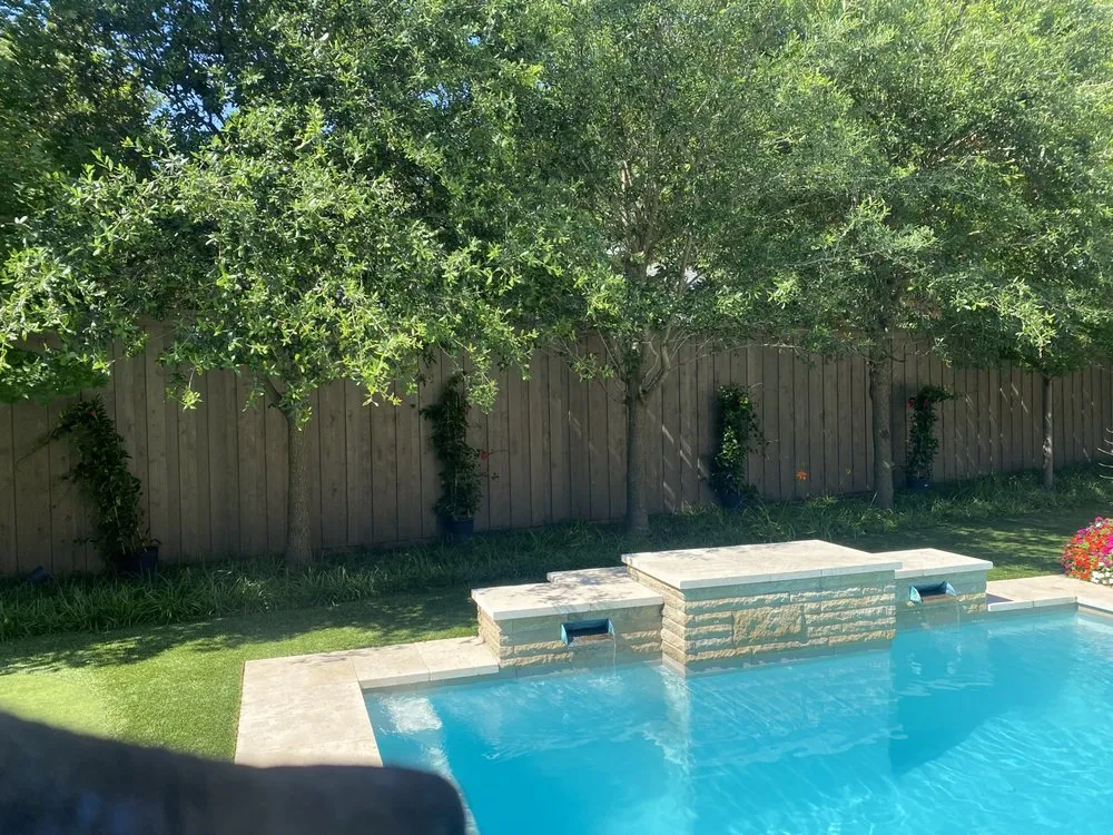 Top-rated yard cleanup service in Dallas, TX - Premium Gardens Of Texas