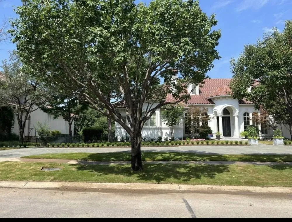 Affordable yard maintenance for year-round maintenance in Dallas, TX by Premium Gardens Of Texas