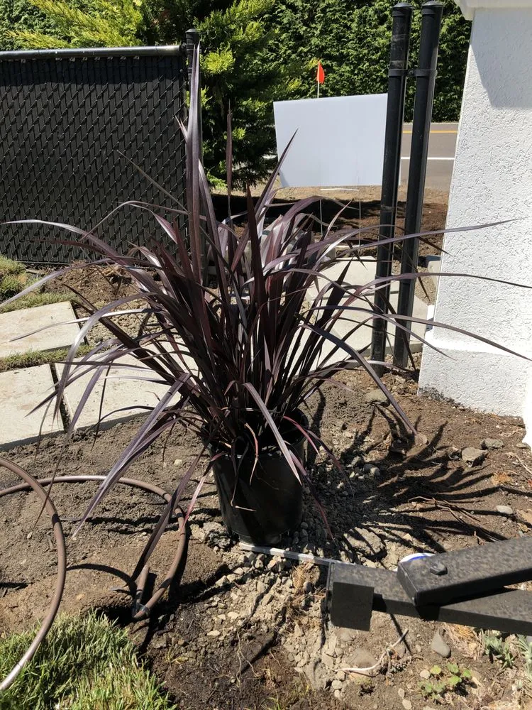 Reliable landscape design in Woodburn, OR - Premium Gardens