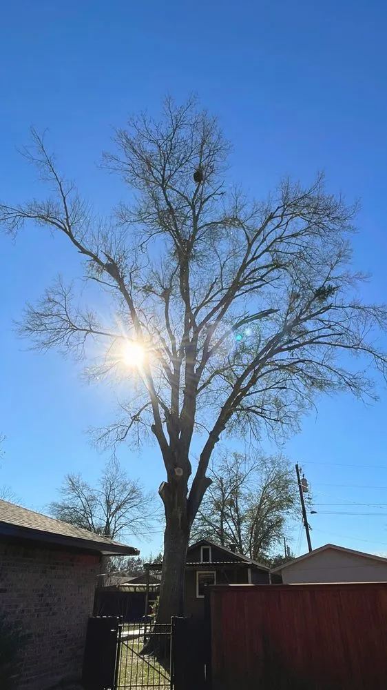 Trusted yard maintenance in Corsicana, TX by Premium General Services