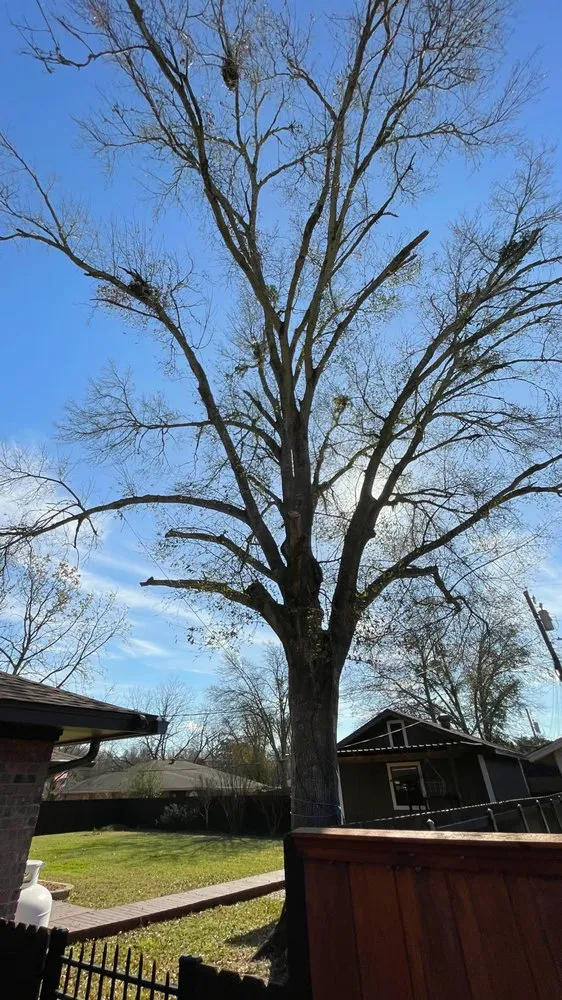 Custom yard maintenance experts serving Corsicana, TX - Premium General Services