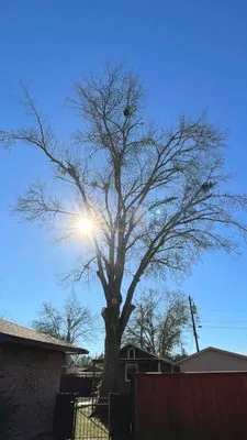 Premium General Services Logo