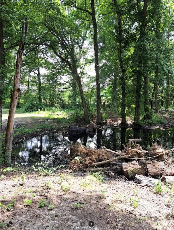 Expert residential landscaping experts serving Winchester, TN - Premium Ground Worx