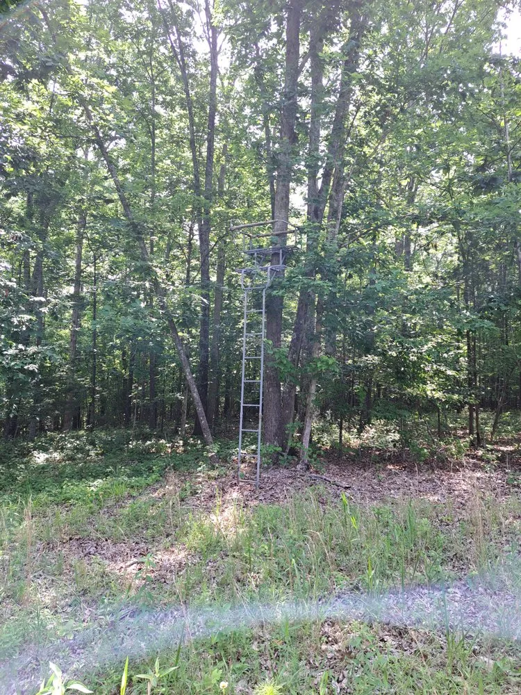 Affordable residential landscaping for residential properties in Winchester, TN by Premium Ground Worx