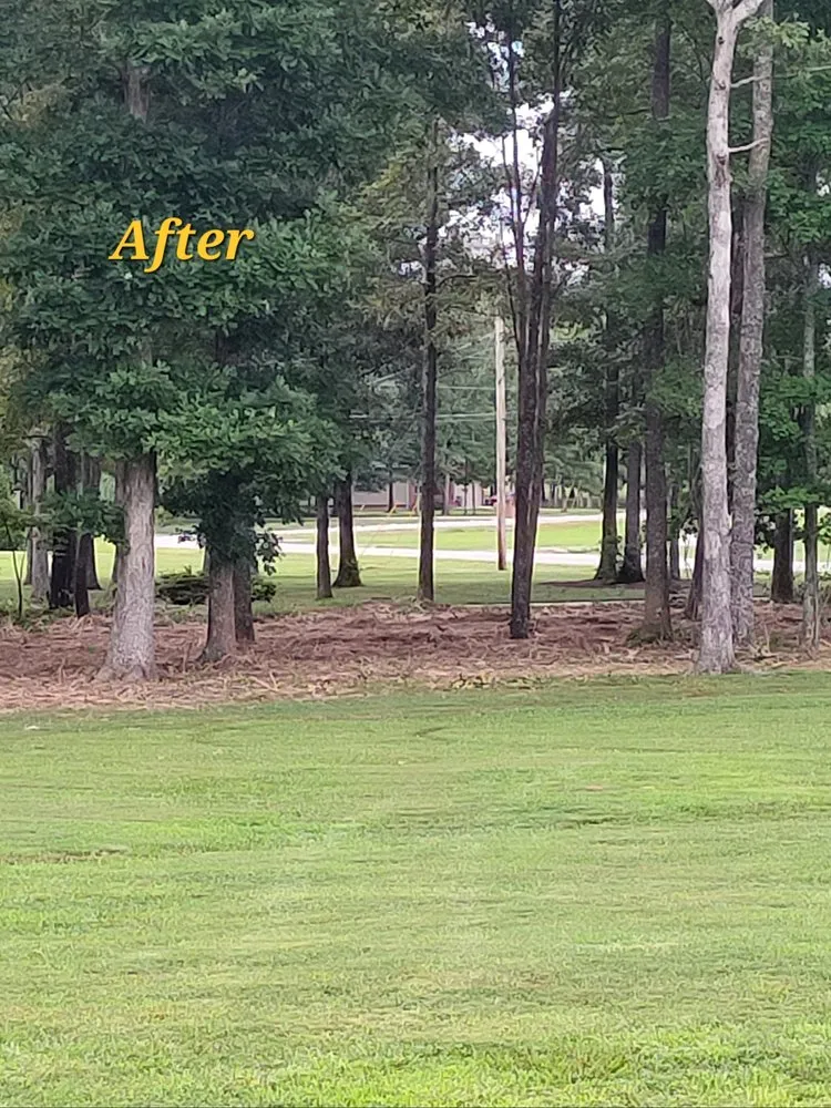 Expert garden landscaping with custom design across Winchester, TN - Premium Ground Worx