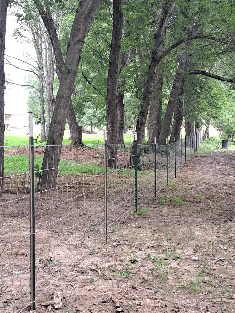 Trusted yard cleanup service in Winchester, TN - Premium Ground Worx