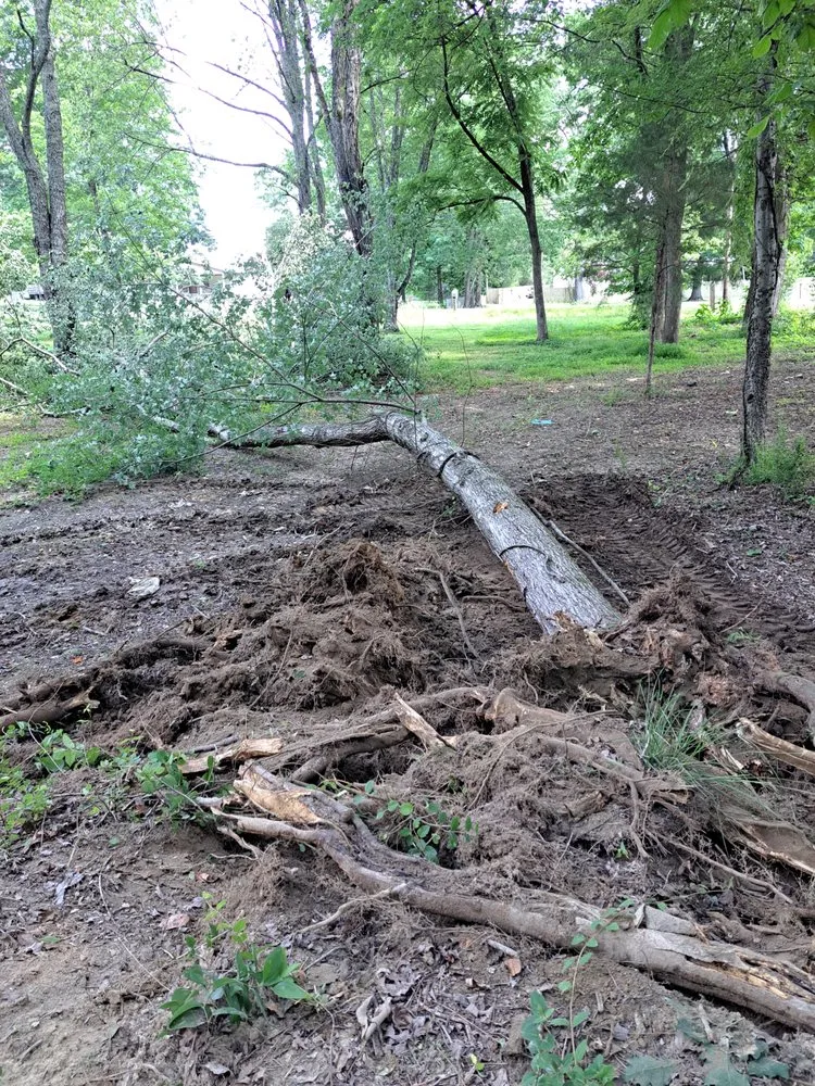 Reliable yard maintenance for residential properties in Winchester, TN by Premium Ground Worx