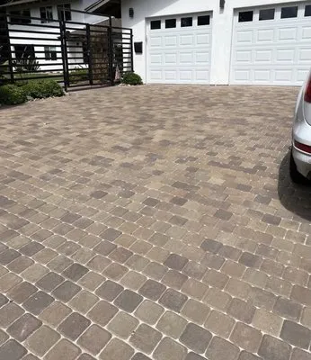 Premium Hills Landscape