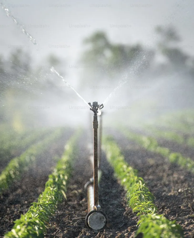 Reliable landscape design experts serving Tucson, AZ - Premium Irrigation and Landscaping