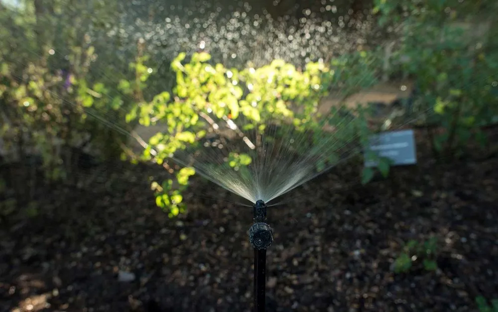 Custom yard cleanup service in Tucson, AZ - Premium Irrigation and Landscaping