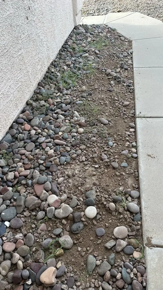 Expert landscape installation for outdoor upgrades in Tucson, AZ by Premium Irrigation and Landscaping