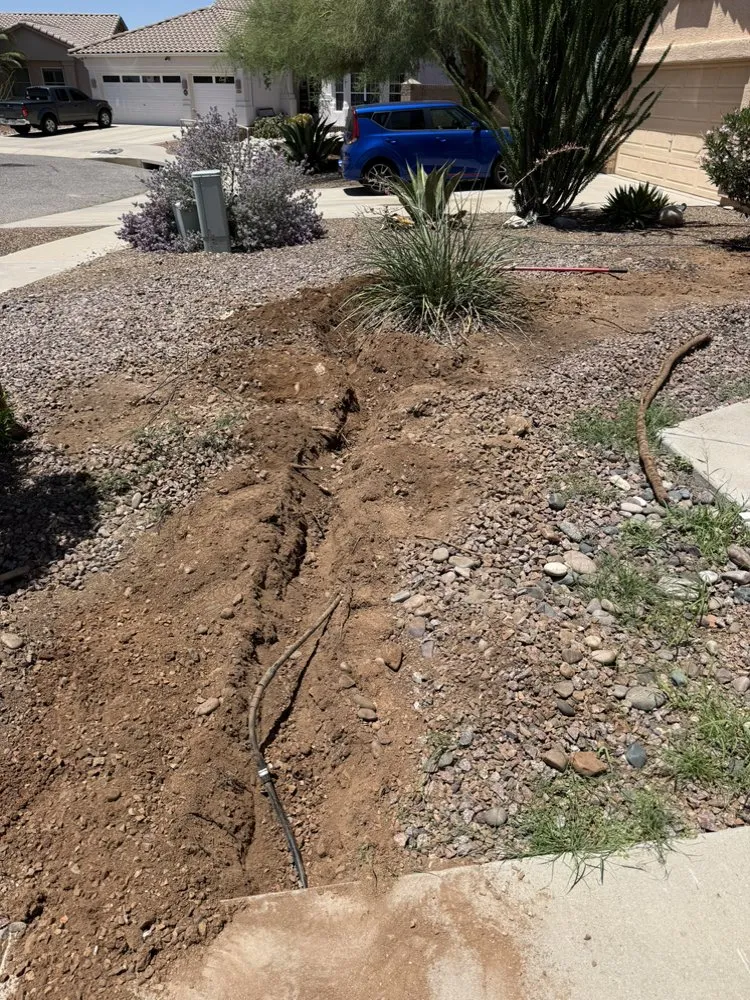 Reliable yard cleanup service in Tucson, AZ by Premium Irrigation and Landscaping