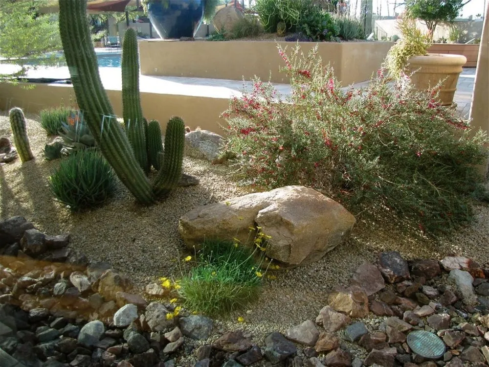 Trusted yard maintenance for homes in Tucson, AZ by Premium Irrigation and Landscaping