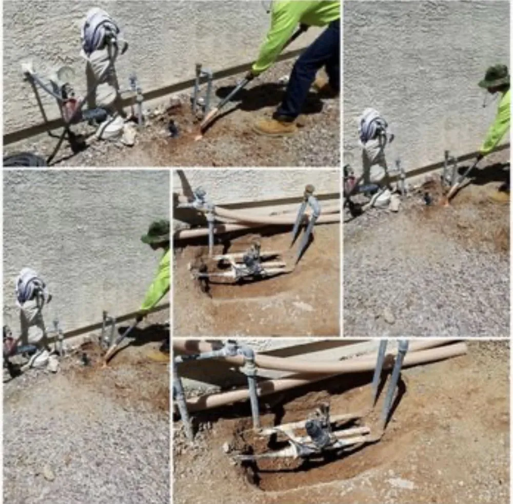 Professional landscape installation in Tucson, AZ by Premium Irrigation and Landscaping