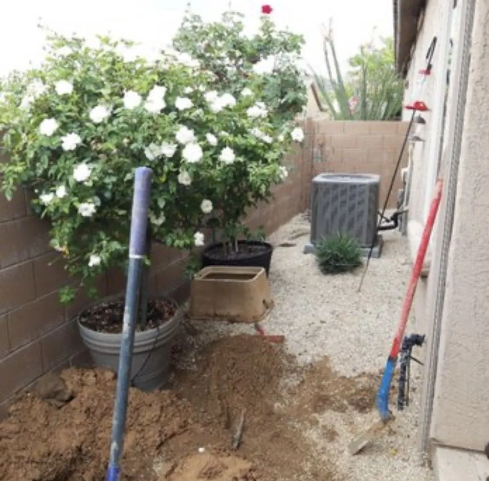 Local lawn care service for homes in Tucson, AZ by Premium Irrigation and Landscaping