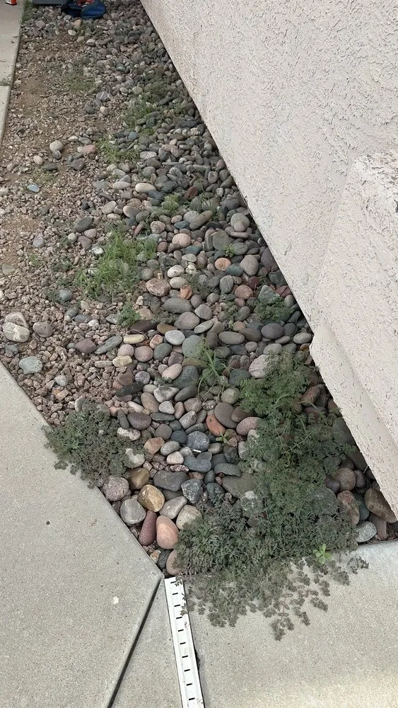 Affordable yard cleanup service with custom design across Tucson, AZ - Premium Irrigation and Landscaping