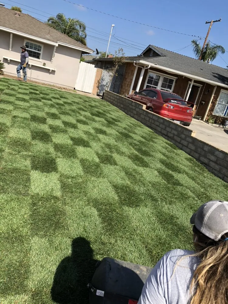 Trusted landscape design for residential properties across Oxnard, CA - Premium Landscape & More