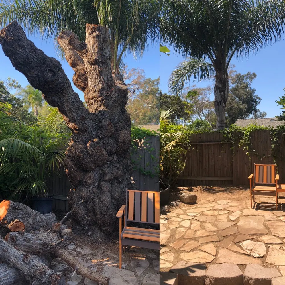 Expert residential landscaping for residential properties in Oxnard, CA by Premium Landscape & More